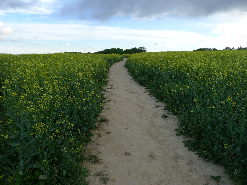 PavlaCzechVisit 106